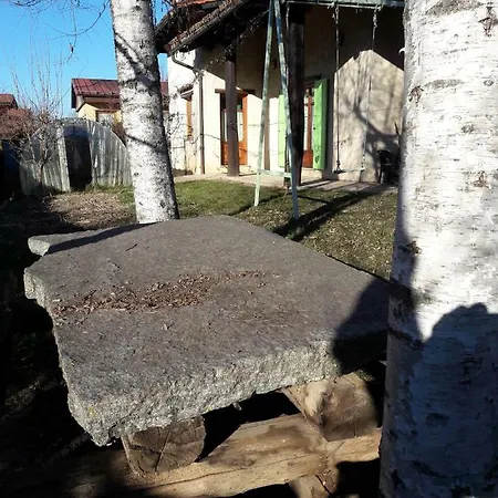 Spirito Di Vino